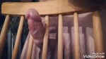播放列表 Thumb 66541292-2
