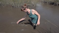 mud