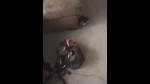 播放列表 Thumb 219270381-1