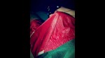 Playlist Thumb 105572292-1