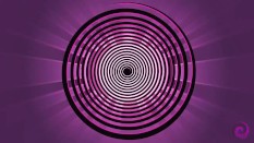 HFO