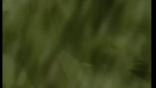 摩洛伊斯兰解放阵线的自白 04 - 场景 9