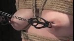 播放列表 Thumb 40454842-1