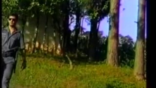 Brazil Nuts 05 - 场景 2