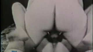 经典雄鹿 124 40 年代至 60 年代 - 场景 2
