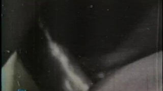 经典雄鹿 127 50 年代和 60 年代 - 场景 4