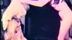 catfight/sexfight
