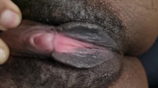 角质毛茸茸的猫