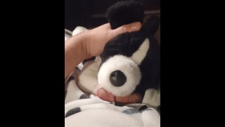POV 毛绒玩具边境Collie使连体衣小狗射精！