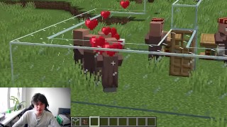 如何让村民在Minecraft中做爱