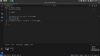 #2 VS Code 以及如何执行程序代码