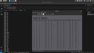 #14 Char 数据类型和 ASCII 表