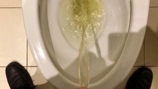 在我的工作上撒尿一整天