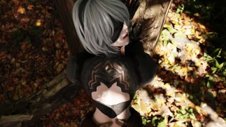 与 Yorha 2B 一起迷失在树林中 （pov）