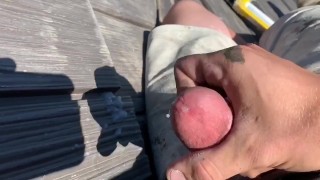 与一些慢动作业余爱好者的独奏兼编译