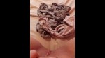 播放列表 Thumb 11822531-1