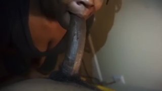 邋遢顶级专家