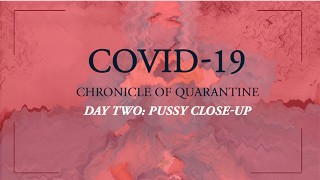 COVID-19:隔离纪事|日2-猫特写