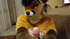 FurrySexStuffs
