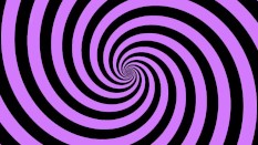 hypnobate
