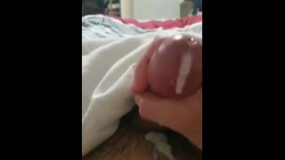 来自 Str8 他妈的芽的快速混蛋