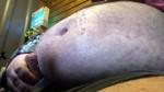 播放列表 Thumb 102444611-1