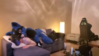 苏卡里奥饲养了一只好小狗