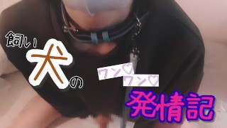 汪 ♡ 汪 ♡”一只穿着运动衫的小骚狗发情了