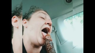 大篷车脸他妈的