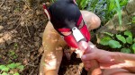 播放列表 Thumb 237548841-2