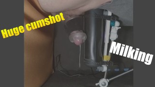 公鸡挤奶机挤出巨大的射精