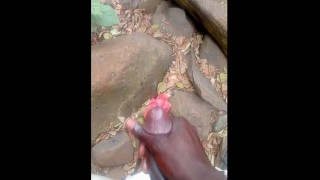 射精丛林巡航第二部分