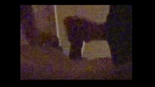 纽约市亚洲油性打手枪按摩快乐结局按摩院参观 5