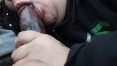 Amateur Blowjobs