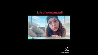 狗妈妈的生活