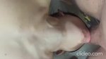 播放列表 Thumb 179448692-2