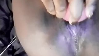 那个该死的玫瑰玩具