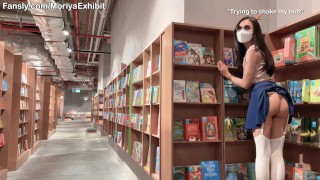 预告片 - 圣诞节期间在一家漂亮的书店里闪现我的亚洲猫和小山雀