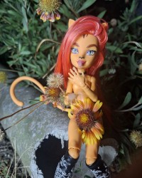 Monster high dolls photo