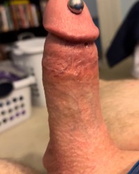 Big pierced cock photo