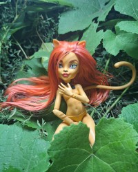 Monster high dolls photo