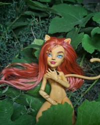 Monster high dolls photo