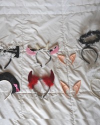 Toy Collection for Requests ♡︎ photo
