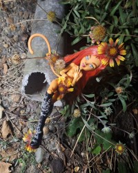 Monster high dolls photo