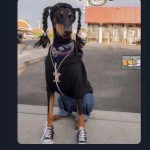lildicknegro