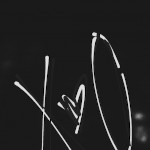 Mister XO