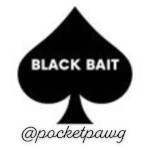 Pocket Pawg