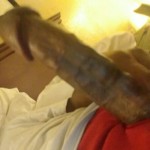 Toxicdick