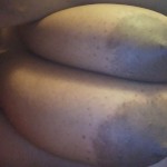 leroyalslut