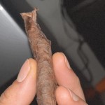 DKdaHippie